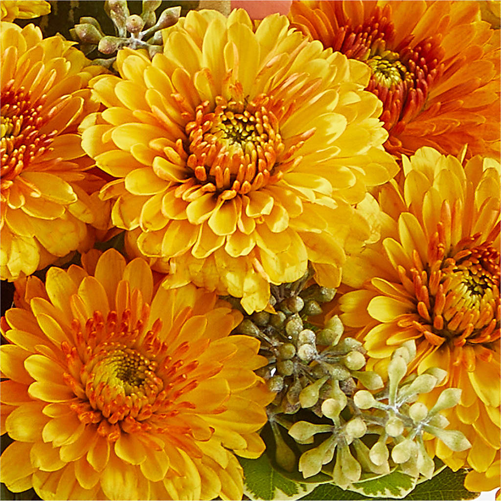 Peachy Pumpkin – SWAN FLORAL & GIFT SHOP INC, Erlanger KY