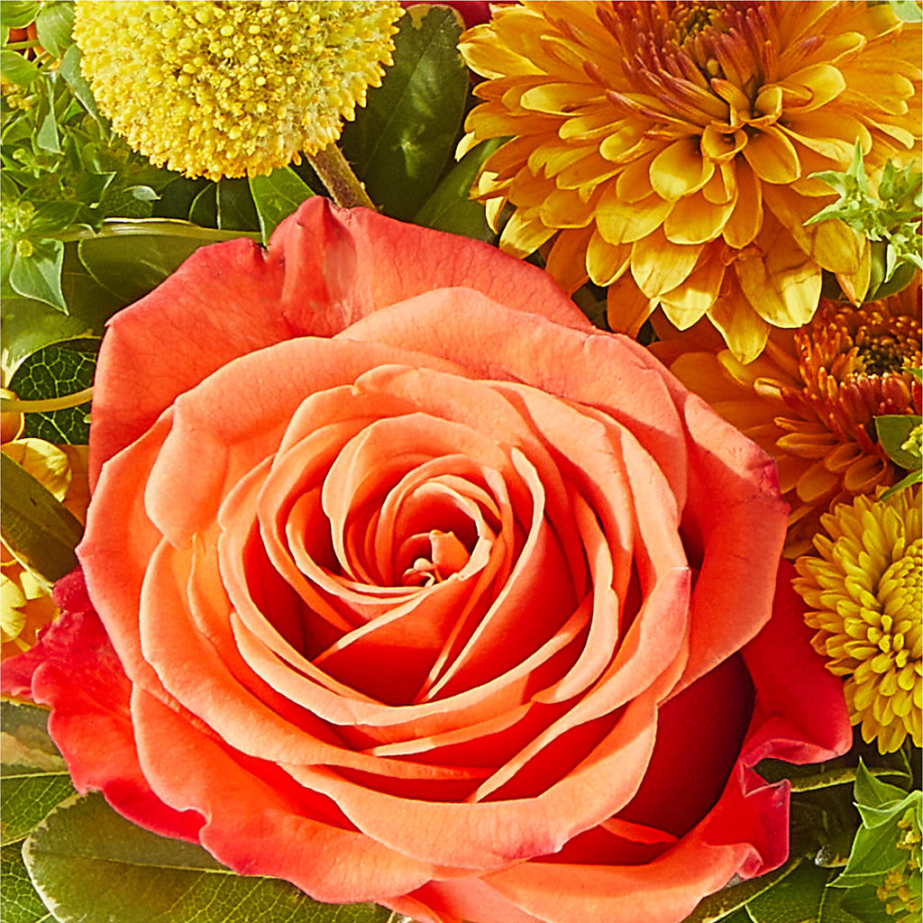 Gourdgeous Pumpkin – SWAN FLORAL & GIFT SHOP INC, Erlanger KY