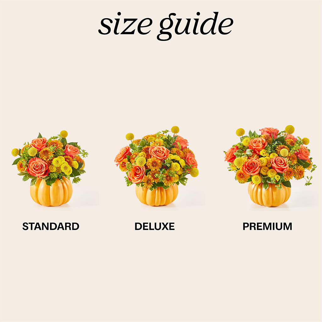 Gourdgeous Pumpkin – SWAN FLORAL & GIFT SHOP INC, Erlanger KY