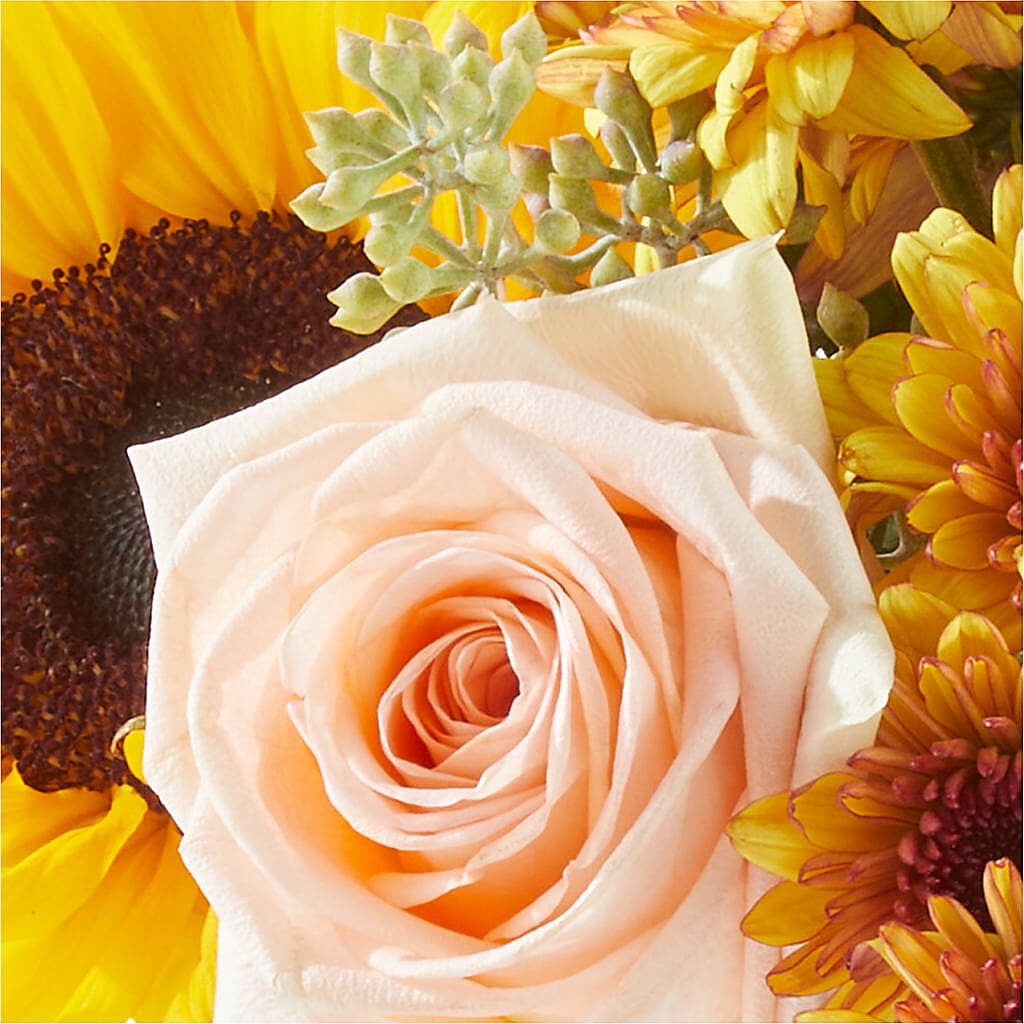 Pumpkin to Talk About Bouquet – SWAN FLORAL & GIFT SHOP INC, Erlanger KY
