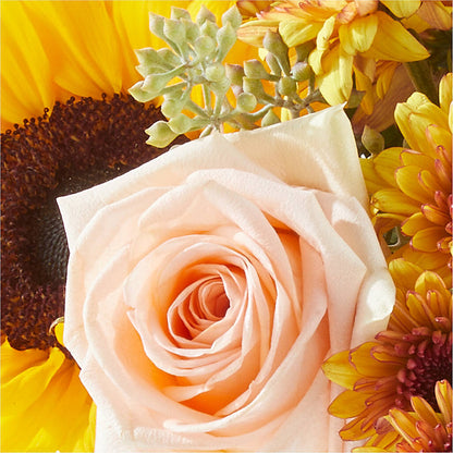 Pumpkin to Talk About Bouquet – SWAN FLORAL & GIFT SHOP INC, Erlanger KY
