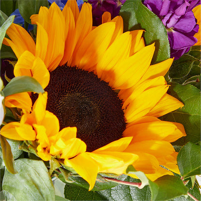 Catching Rays Bouquet – SWAN FLORAL & GIFT SHOP INC, Erlanger KY