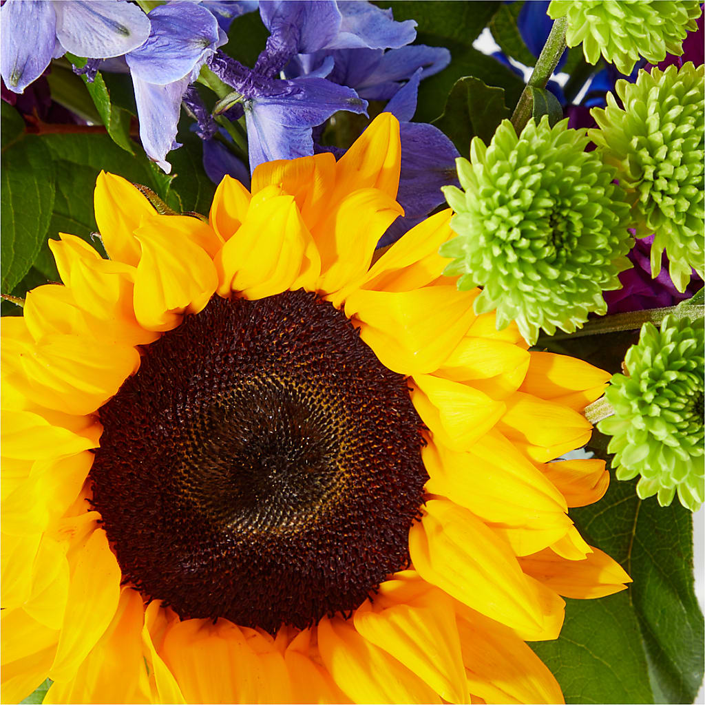 Catching Rays Bouquet – SWAN FLORAL & GIFT SHOP INC, Erlanger KY