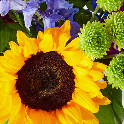Catching Rays Bouquet – SWAN FLORAL & GIFT SHOP INC, Erlanger KY