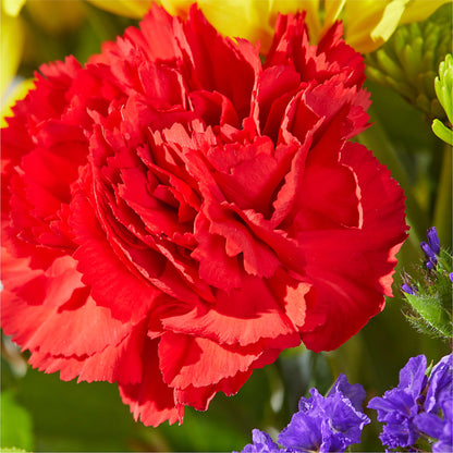 Brighter Days Bouquet – SWAN FLORAL & GIFT SHOP INC, Erlanger KY