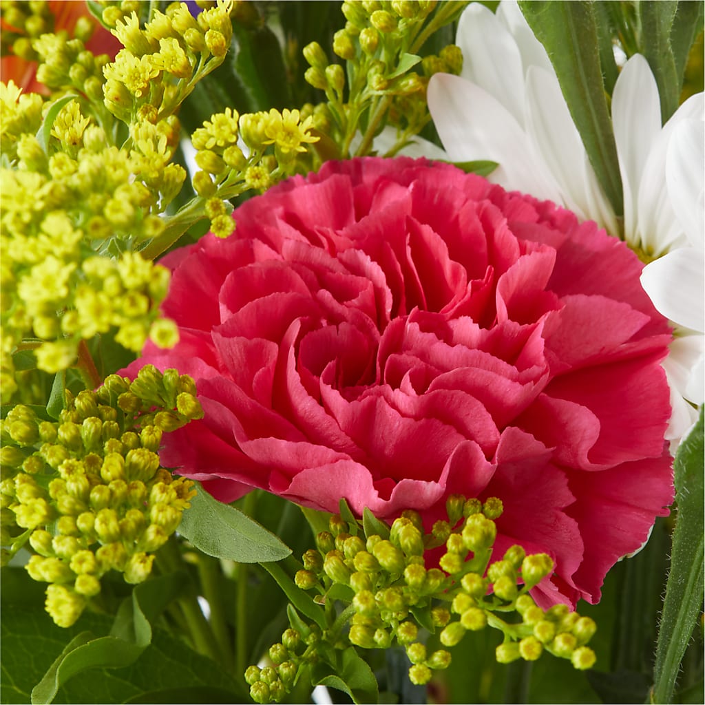 Oopsie Daisy Bouquet – SWAN FLORAL & GIFT SHOP INC, Erlanger KY