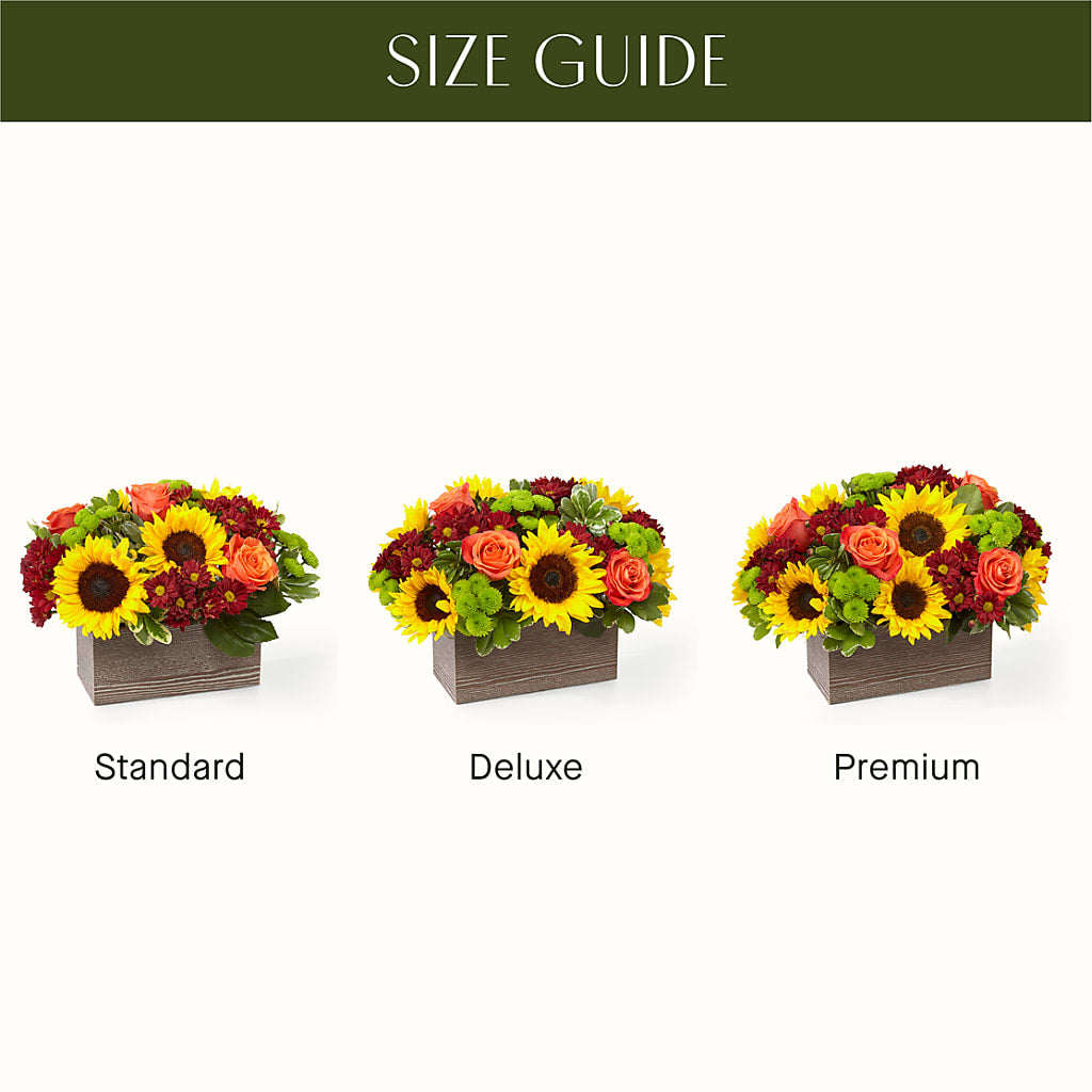 Happy Harvest Garden – SWAN FLORAL & GIFT SHOP INC, Erlanger KY