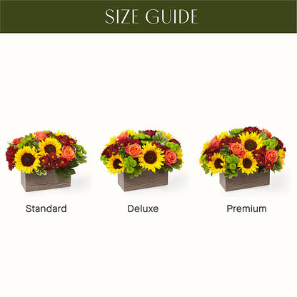 Happy Harvest Garden – SWAN FLORAL & GIFT SHOP INC, Erlanger KY
