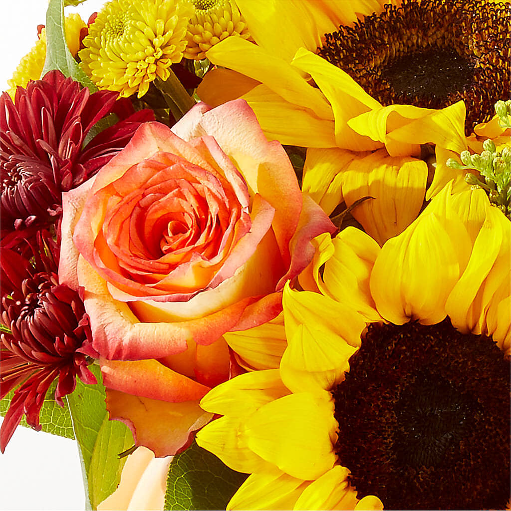 Golden Gourd Pumpkin Bouquet – SWAN FLORAL & GIFT SHOP INC, Erlanger KY