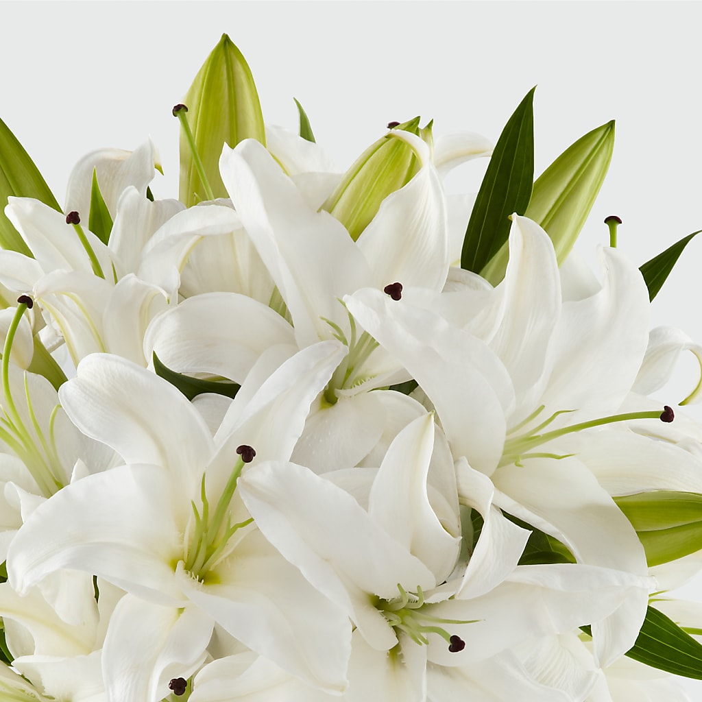 Faithful Blessings Bouquet – SWAN FLORAL & GIFT SHOP INC, Erlanger KY
