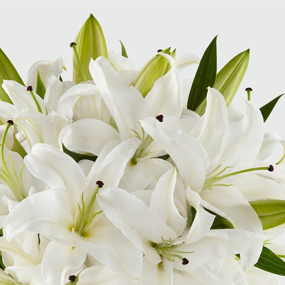 Faithful Blessings Bouquet – SWAN FLORAL & GIFT SHOP INC, Erlanger KY