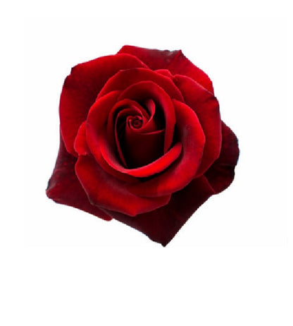 Add 3 Roses – SWAN FLORAL & GIFT SHOP INC, Erlanger KY