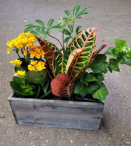 Rustic Dishgarden