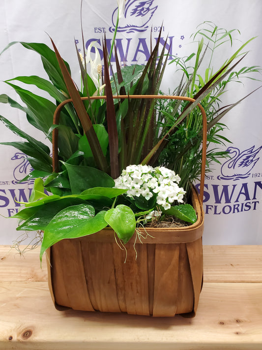 Serene Basket Planter