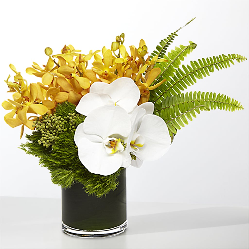 The Tropics – SWAN FLORAL & GIFT SHOP INC, Erlanger KY