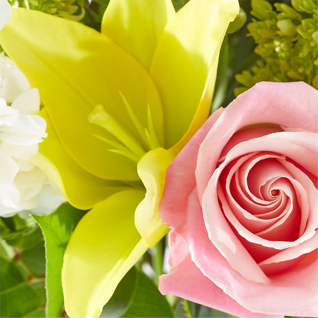 Garden Delight Bouquet – SWAN FLORAL & GIFT SHOP INC, Erlanger KY