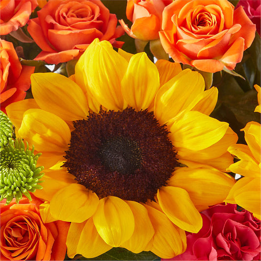 Sun-drenched Blooms Box Bouquet – SWAN FLORAL & GIFT SHOP INC, Erlanger KY