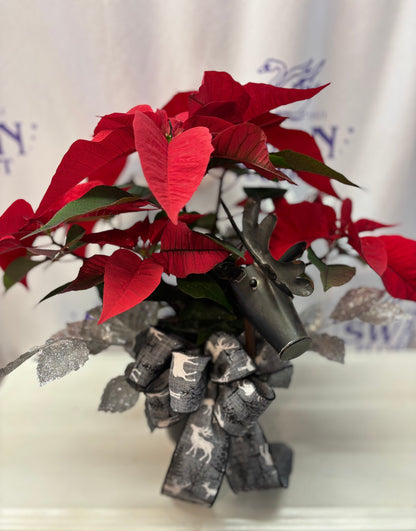 Oh Deer! Poinsettia
