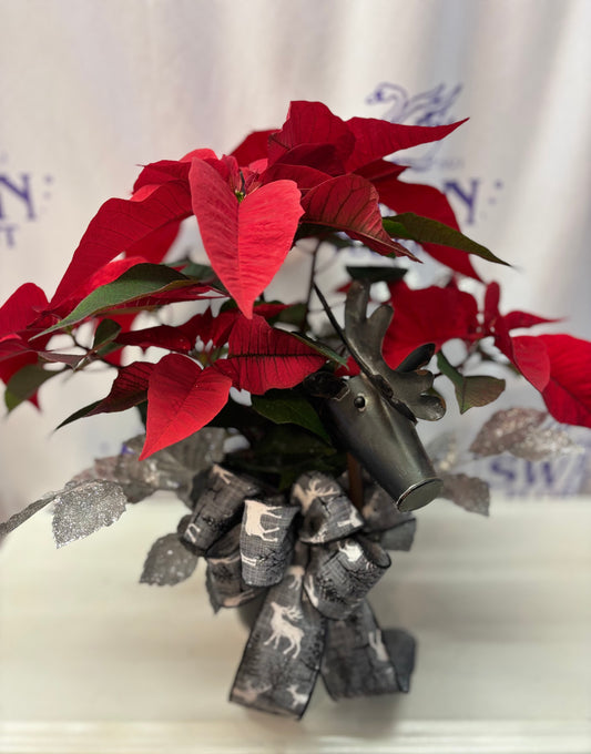 Oh Deer! Poinsettia