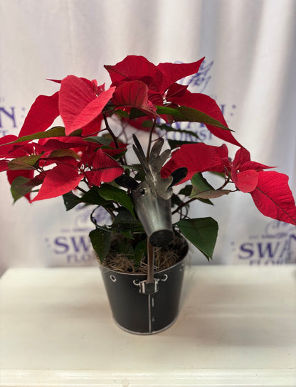 Oh Deer! Poinsettia