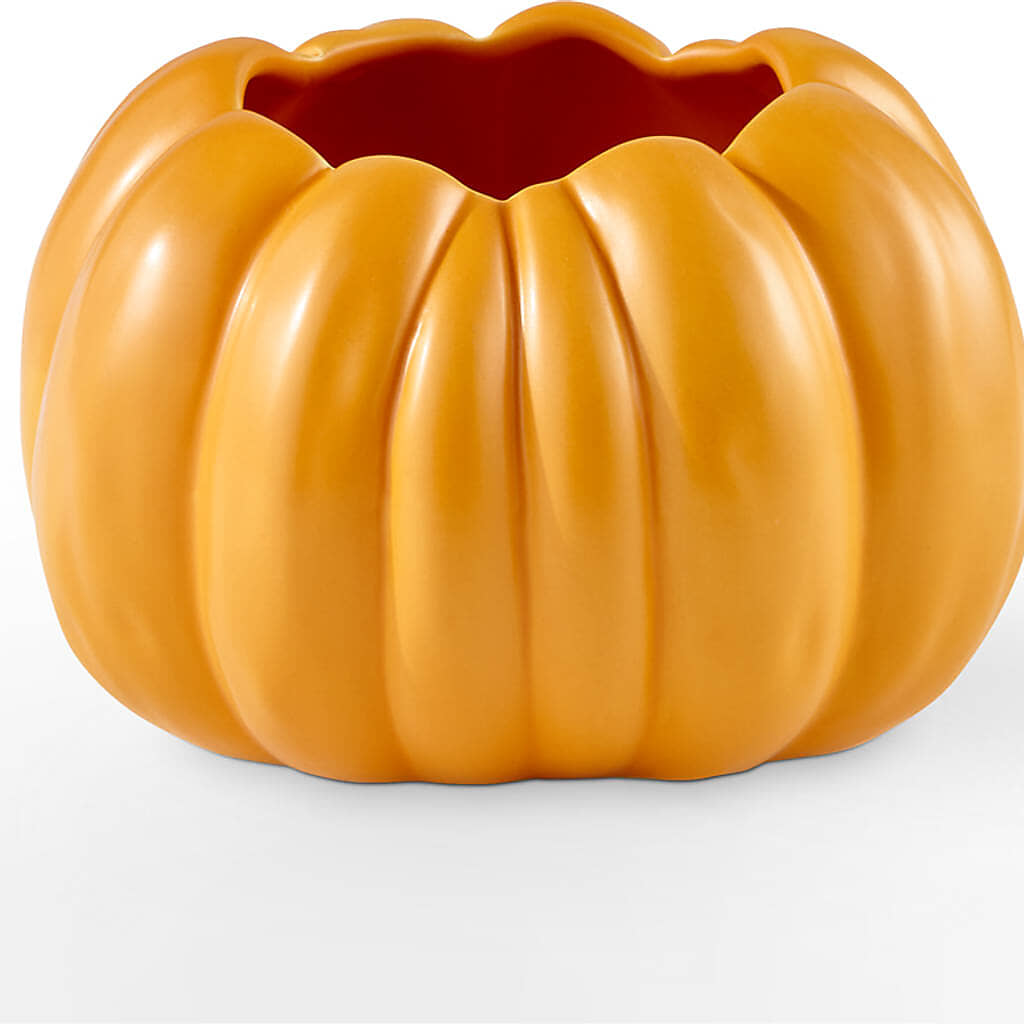 Golden Gourd Pumpkin Bouquet – SWAN FLORAL & GIFT SHOP INC, Erlanger KY
