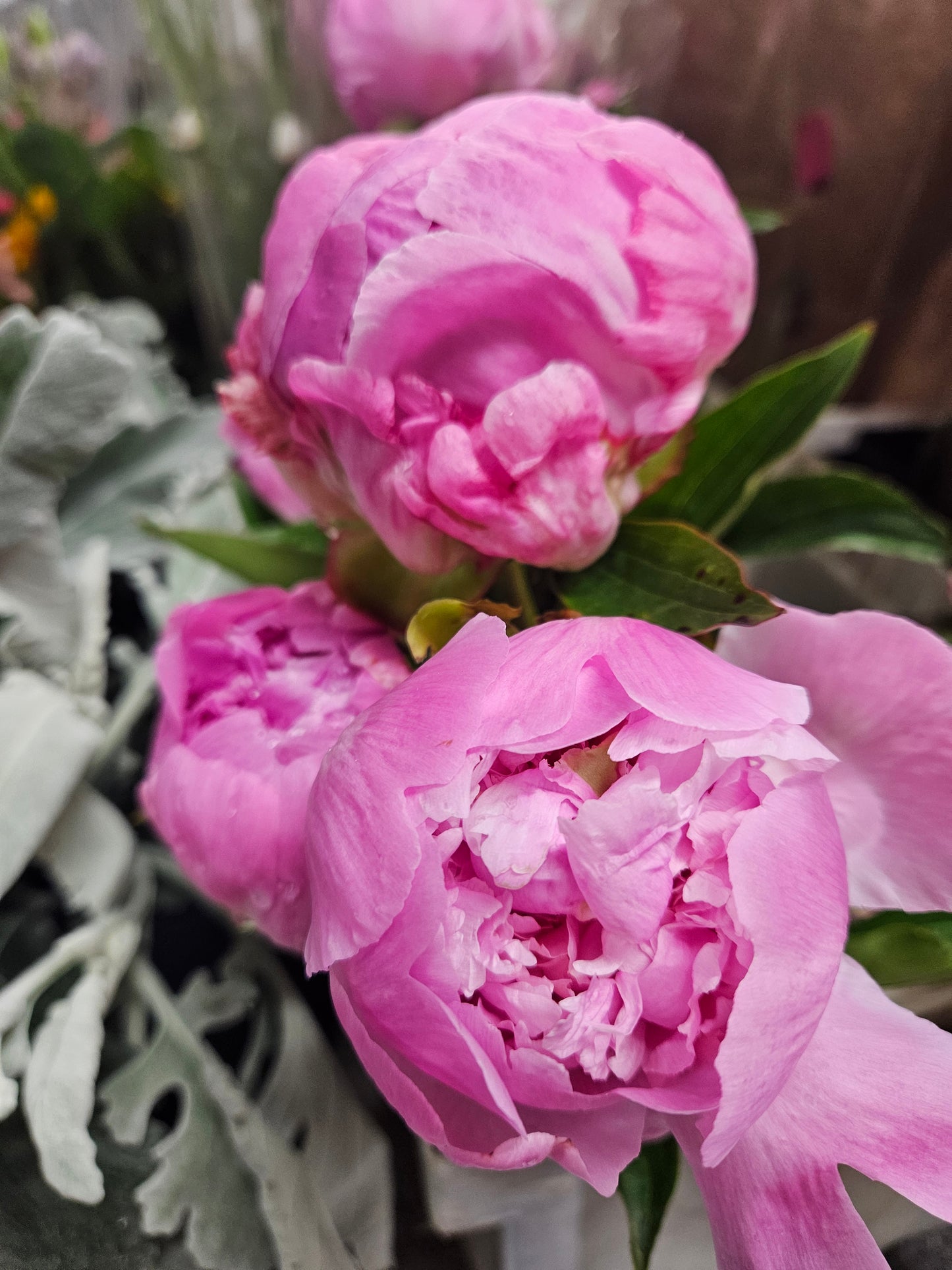 Custom Peony Bouquet