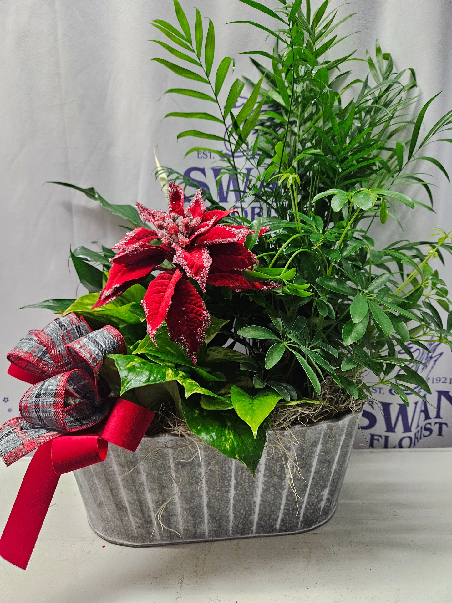 Rustic Christmas Dish Garden