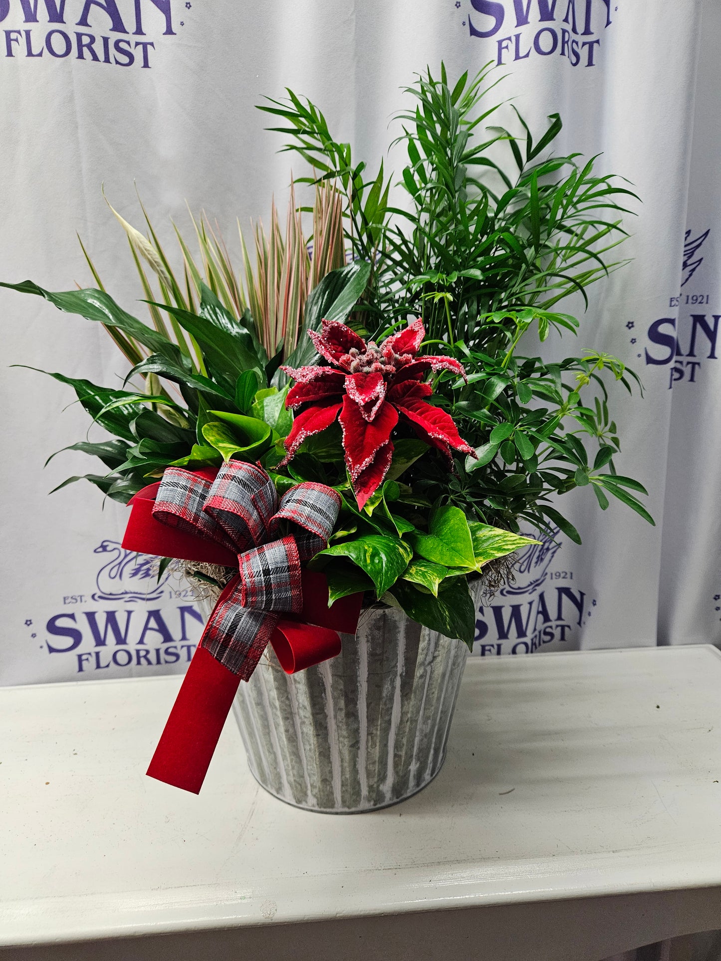 Rustic Christmas Dish Garden