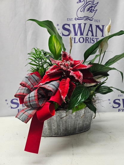 Rustic Christmas Dish Garden