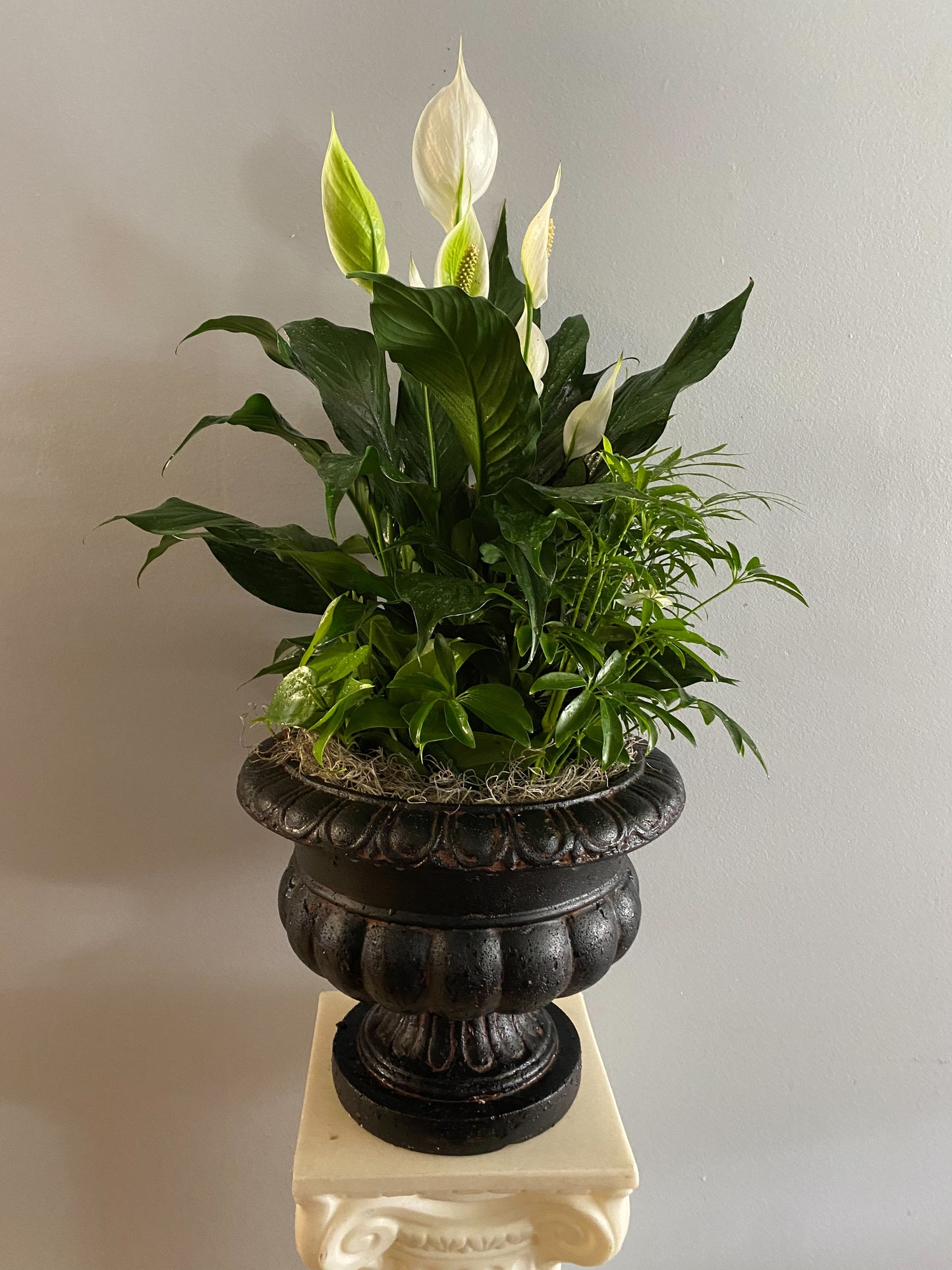 Rustic Urn Dishgarden