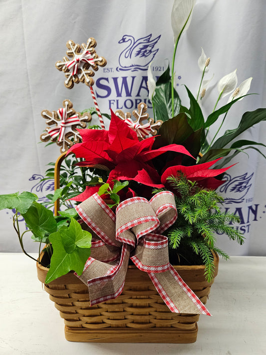 Christmas Spirit Dishgarden