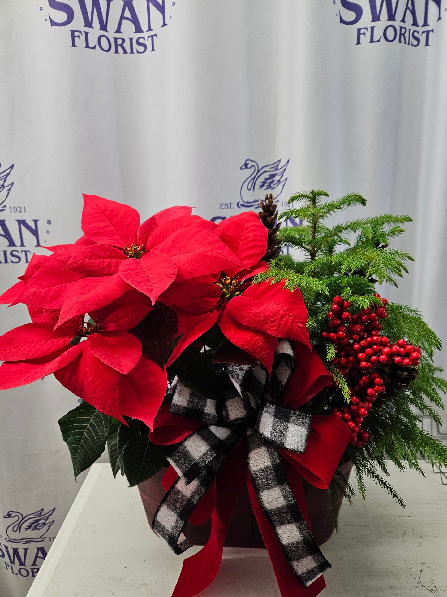 Country Christmas Dishgarden