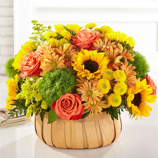 Harvest Sunflower Basket – SWAN FLORAL & GIFT SHOP INC, Erlanger KY
