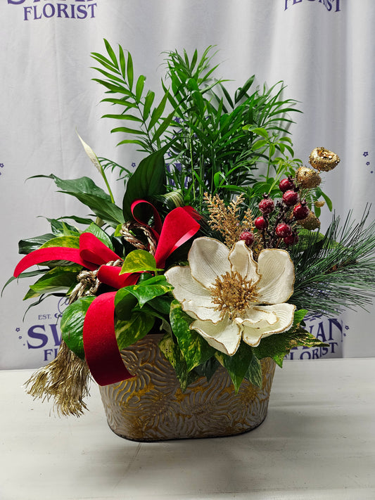 Southern Charm Dish garden