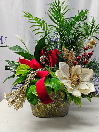 Southern Charm Dish garden