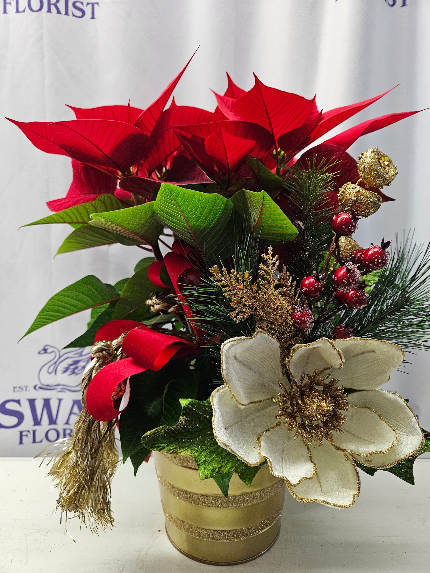 Southern Charm Red Poinsettia