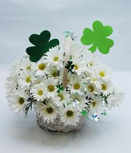 St Patricks Daisy Basket