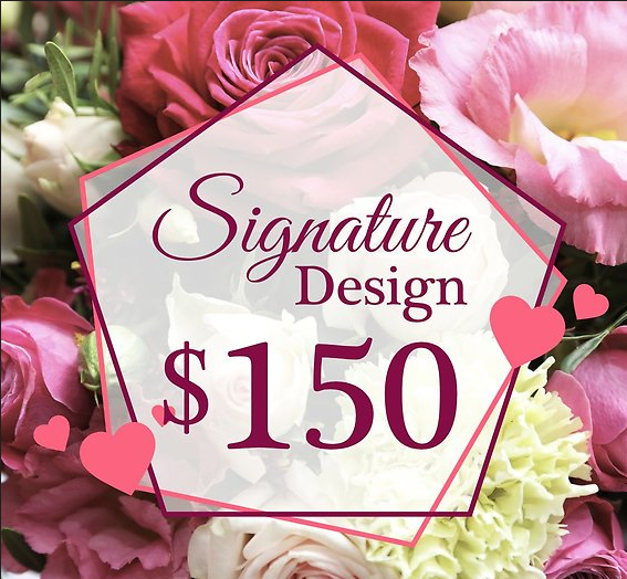 Swan Signature Design