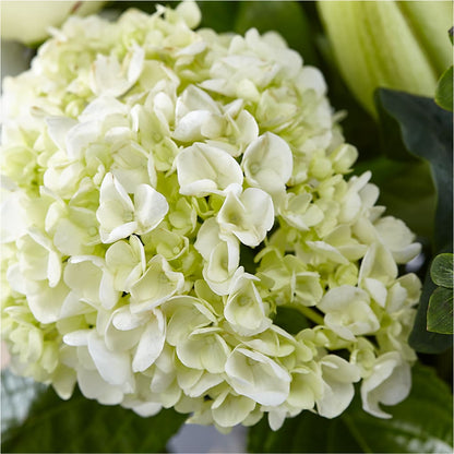 Classic Ivory – A Florist Original – SWAN FLORAL & GIFT SHOP INC, Erlanger KY