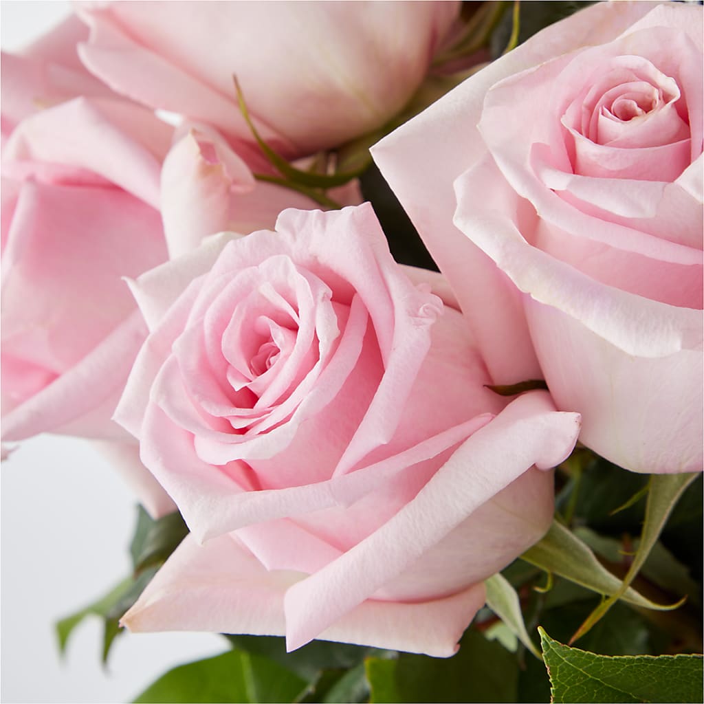 Picture Perfect Pink Rose Bouquet – SWAN FLORAL & GIFT SHOP INC, Erlanger KY