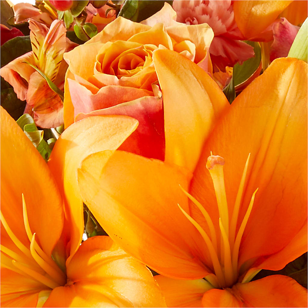 Afternoon Light Bouquet – SWAN FLORAL & GIFT SHOP INC, Erlanger KY