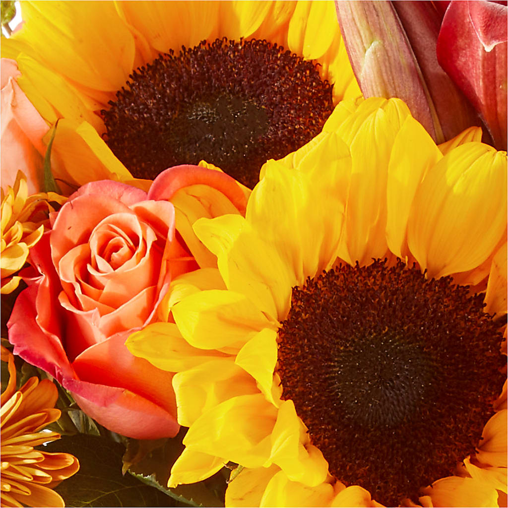 Acorn Lane Bouquet – SWAN FLORAL & GIFT SHOP INC, Erlanger KY