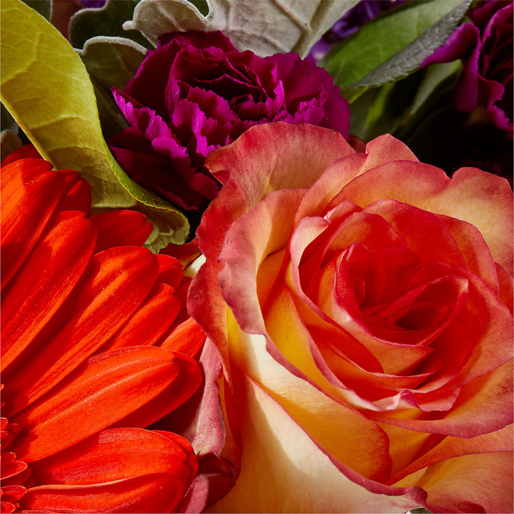 Sangria Bouquet – SWAN FLORAL & GIFT SHOP INC, Erlanger KY