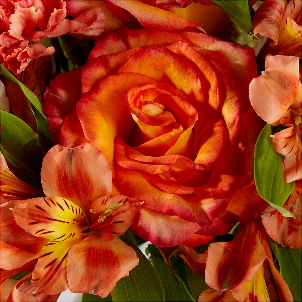 Apricot Glow Bouquet – SWAN FLORAL & GIFT SHOP INC, Erlanger KY