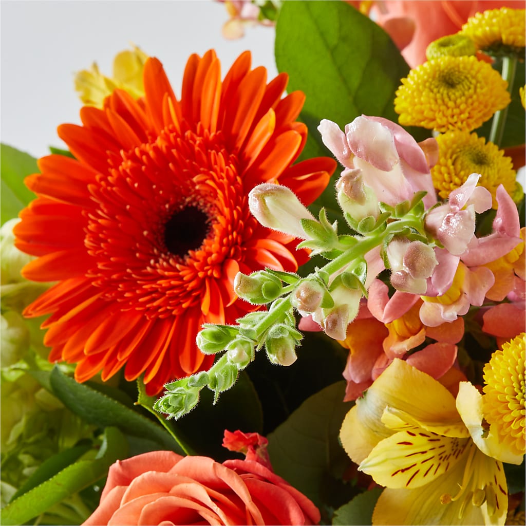 Autumn Sunshine Bouquet – SWAN FLORAL & GIFT SHOP INC, Erlanger KY
