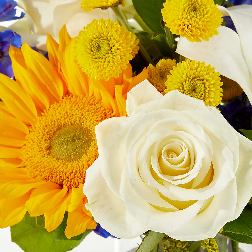 Stargazing Bouquet – SWAN FLORAL & GIFT SHOP INC, Erlanger KY