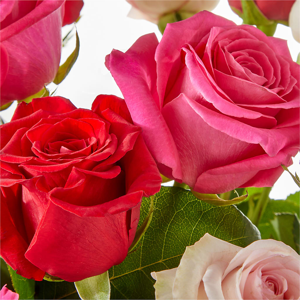 Charming Rose Bouquet – SWAN FLORAL & GIFT SHOP INC, Erlanger KY