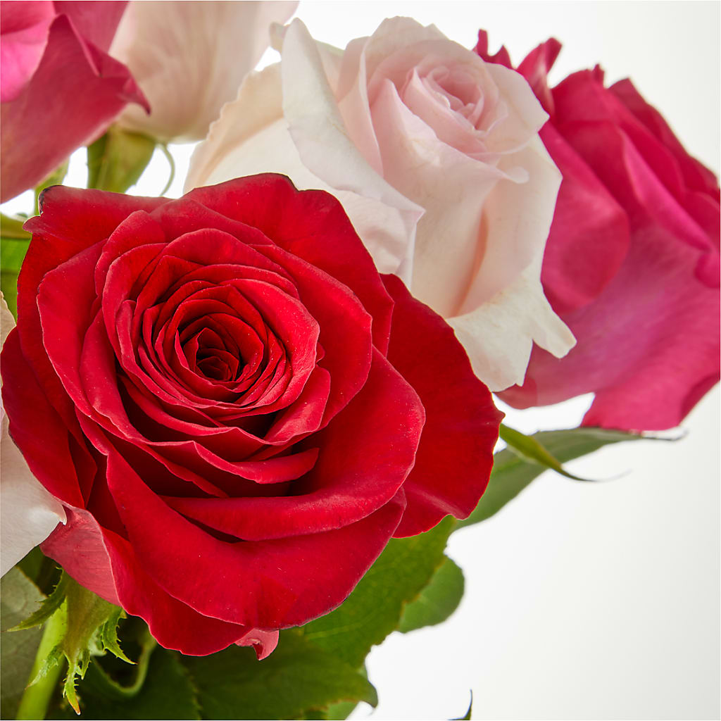 Charming Rose Bouquet – SWAN FLORAL & GIFT SHOP INC, Erlanger KY
