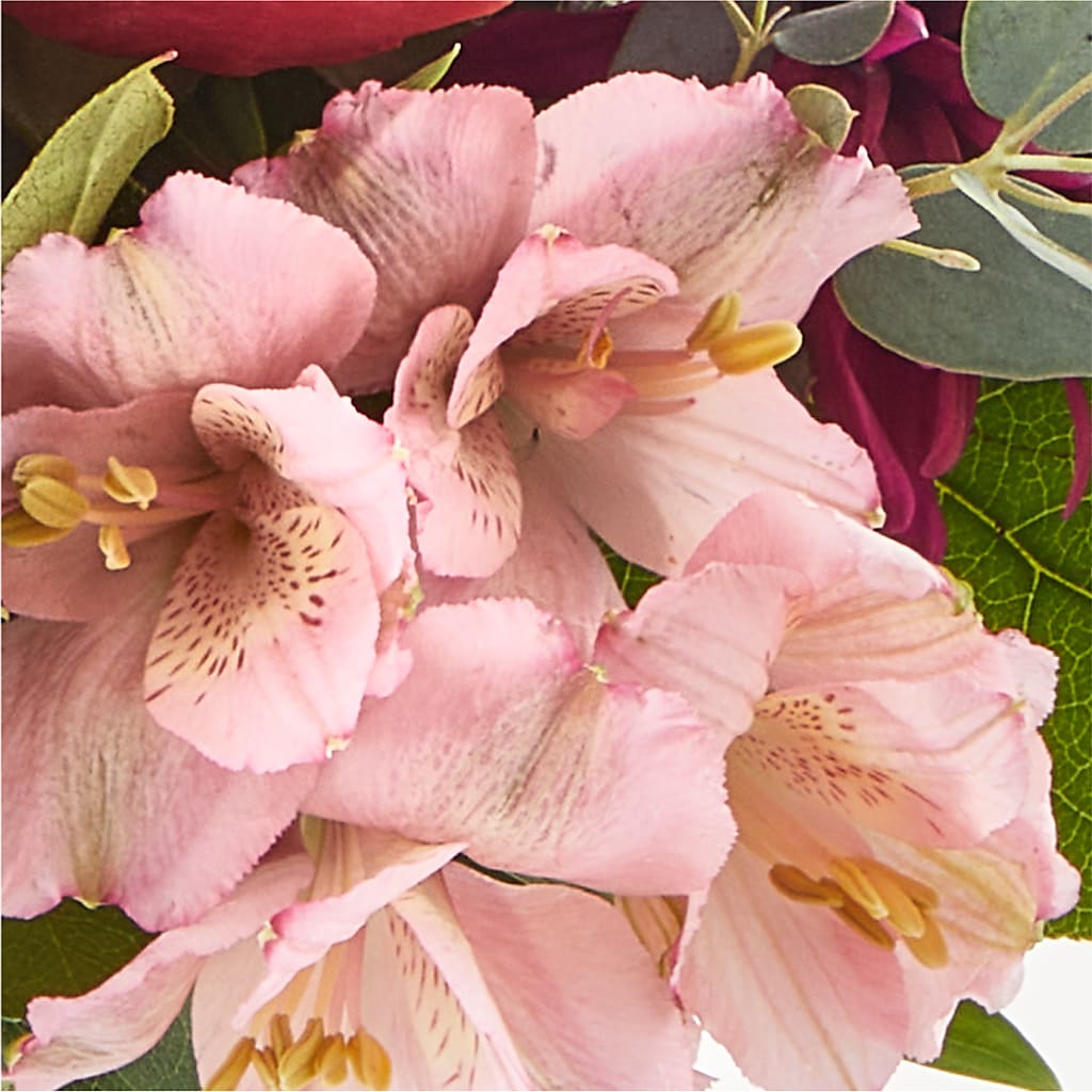 Berry Cobbler Bouquet – SWAN FLORAL & GIFT SHOP INC, Erlanger KY