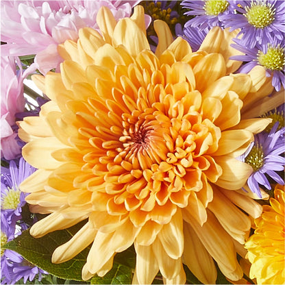 Countryside Bouquet – SWAN FLORAL & GIFT SHOP INC, Erlanger KY